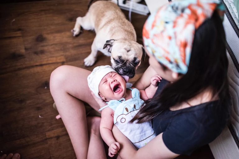 被狗舔过的小孩