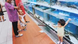 水族馆！