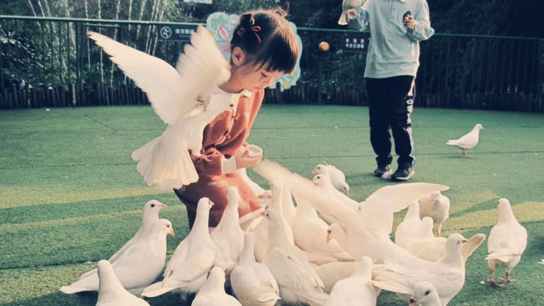 今年经历了很多，很久没有带你好好玩一次了。