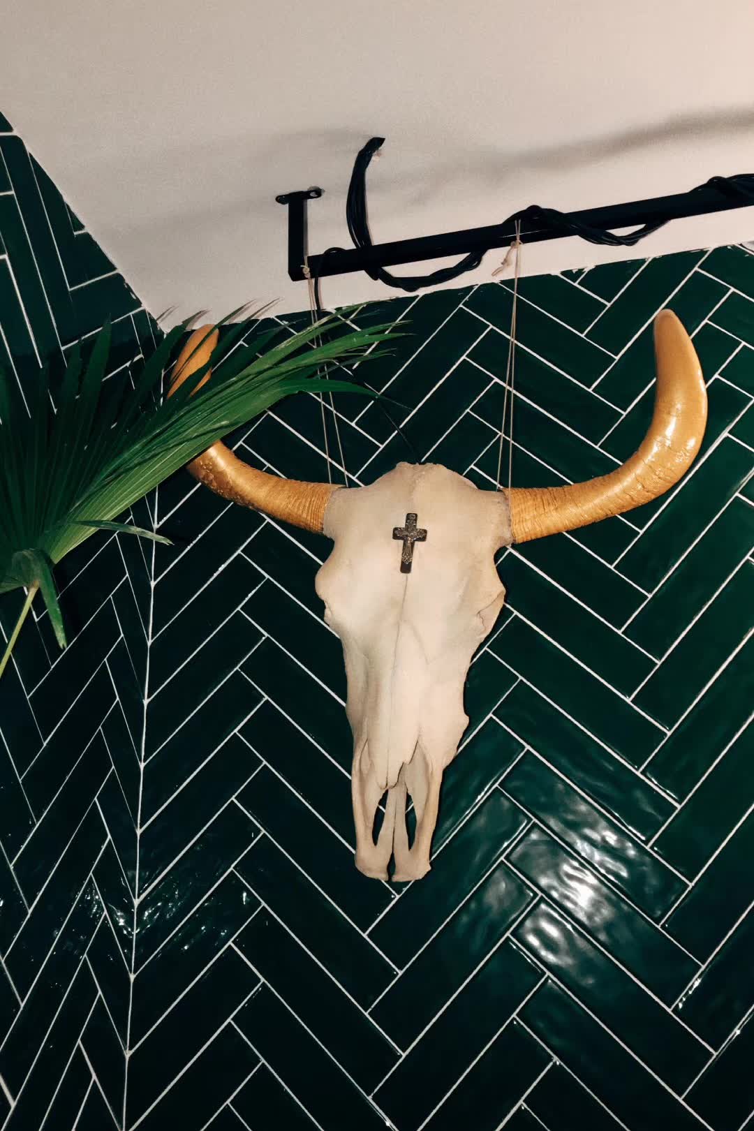 十年前从藏区徒步了十几公里背出来的牛头。昨天把挂出来了。