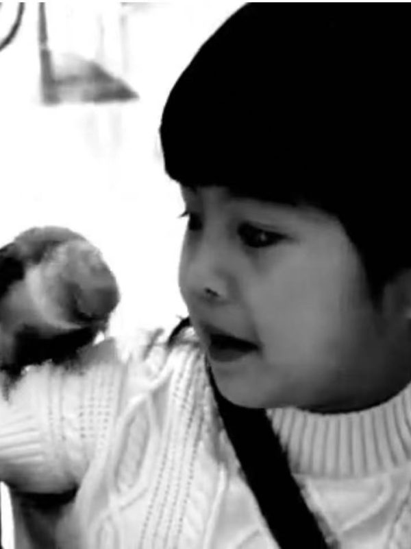 一款十年前小相机拍的视频。