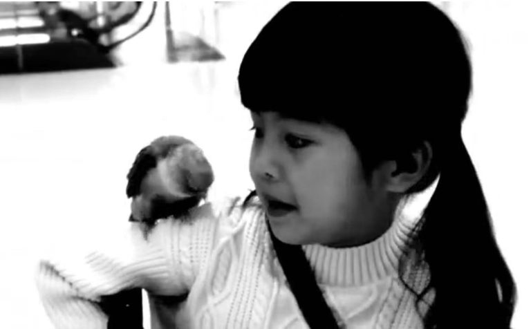 一款十年前小相机拍的视频。