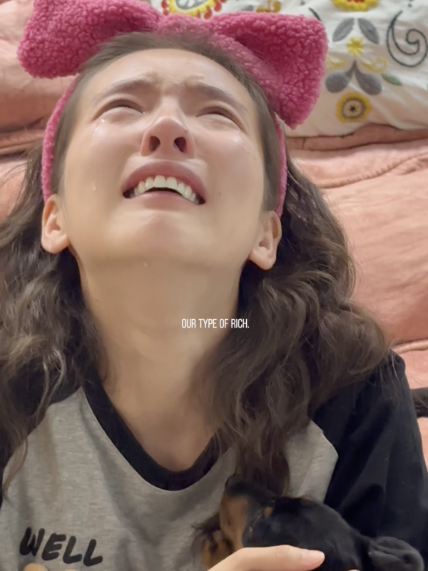 一只小WerWer的小狗