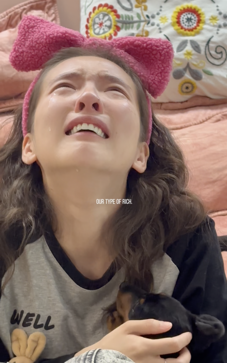 一只小WerWer的小狗