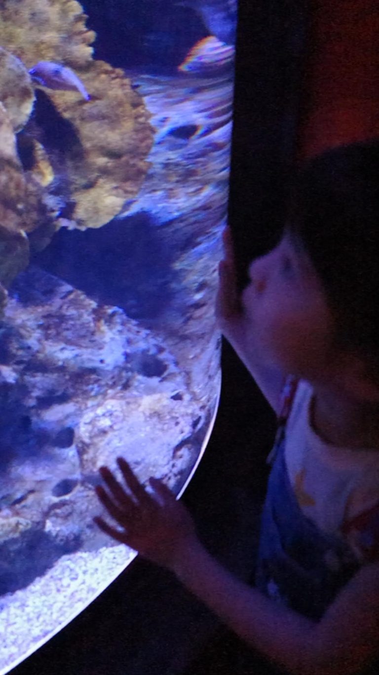 真的很喜欢水族馆