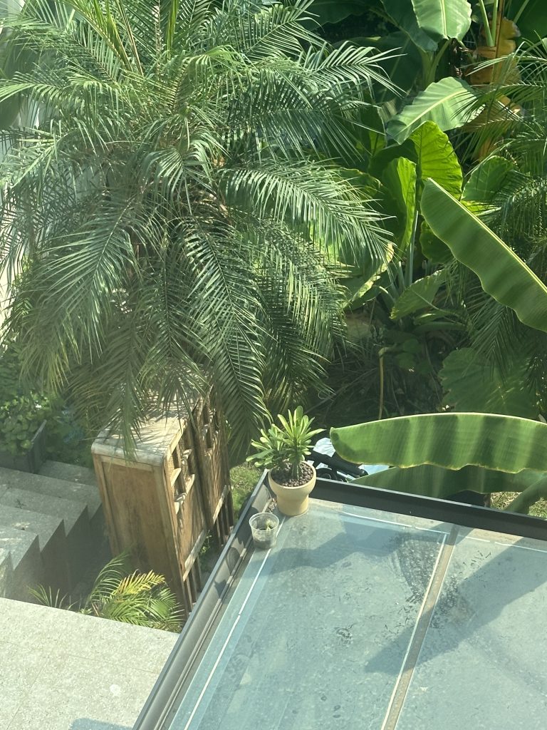 你成长的真快呀。