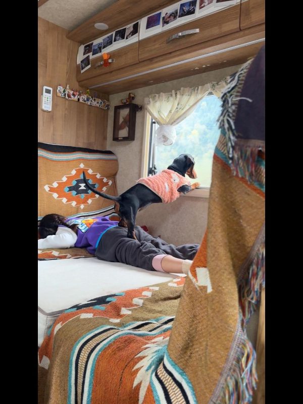 国庆去青海高反了。