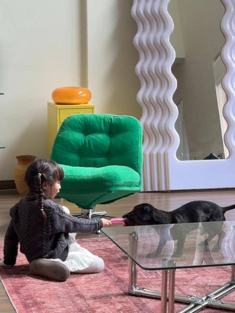 去南门找麻子玩。