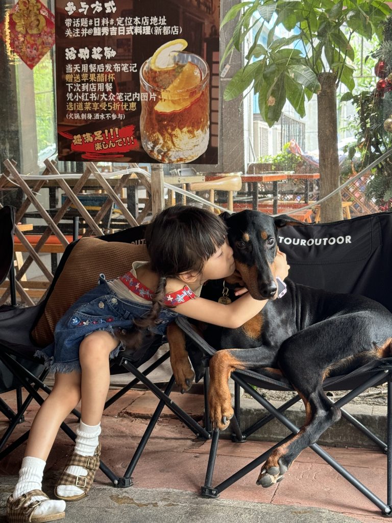 你说洋洋哥哥家这只是大号werwer