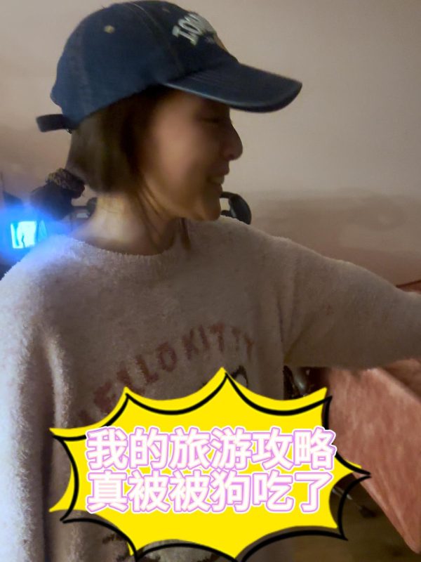 旅行计划被狗吃了