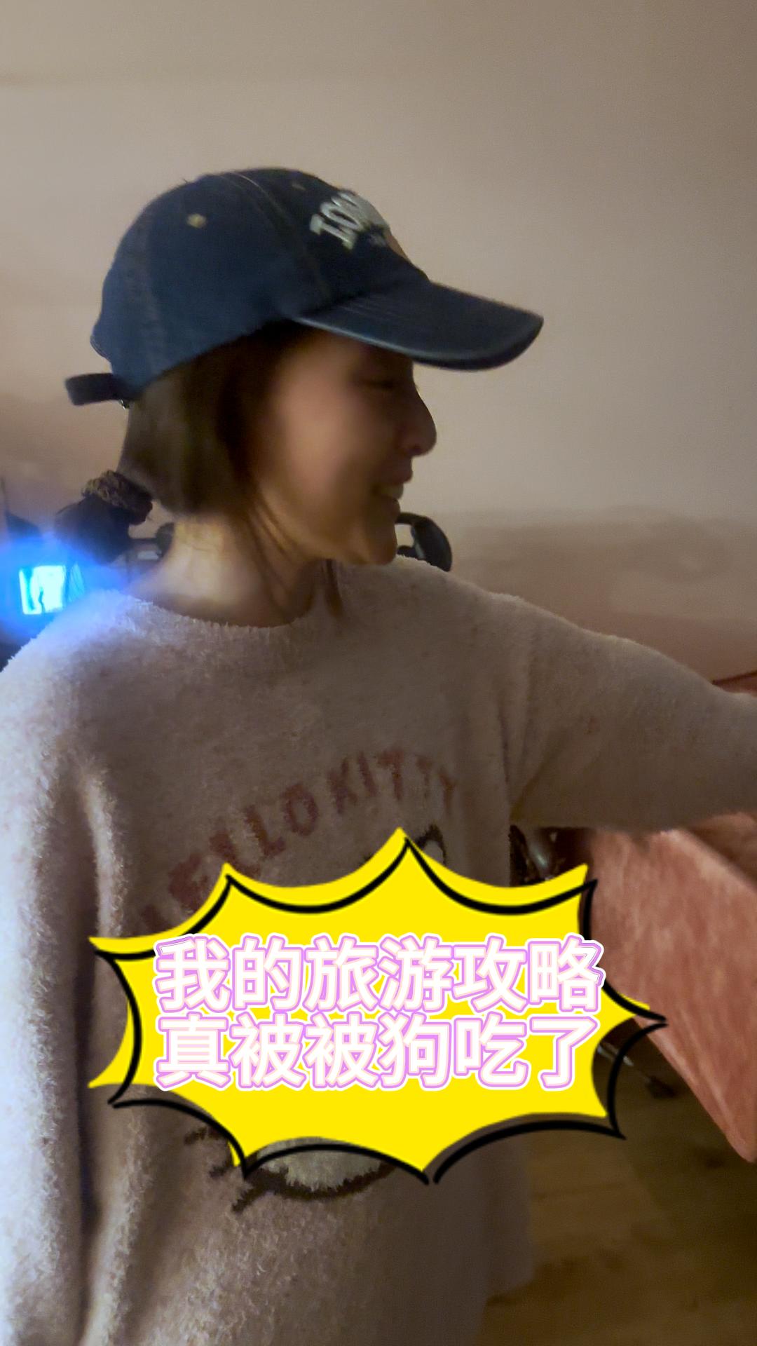 旅行计划被狗吃了